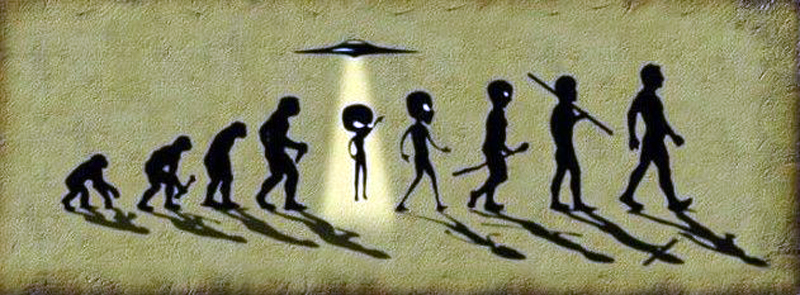 Alien evolution