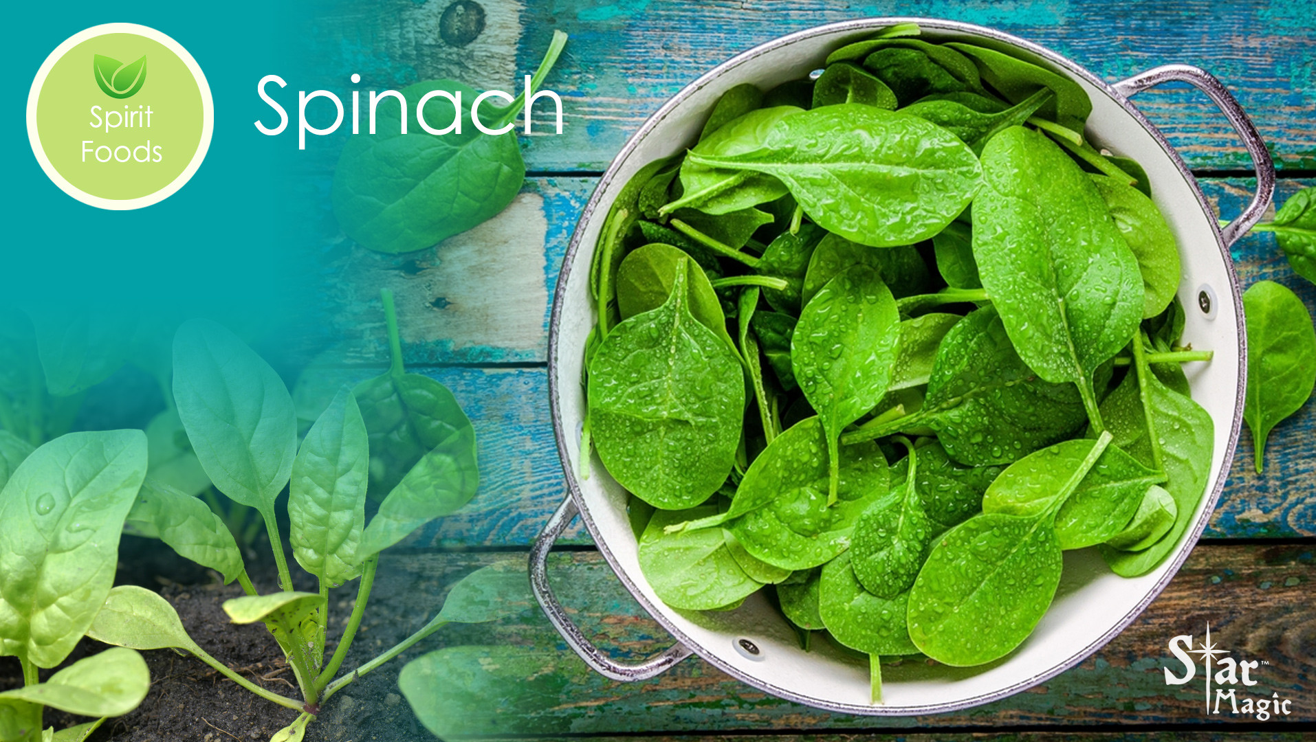 Spirit Food Spinach - Star Magic Healing