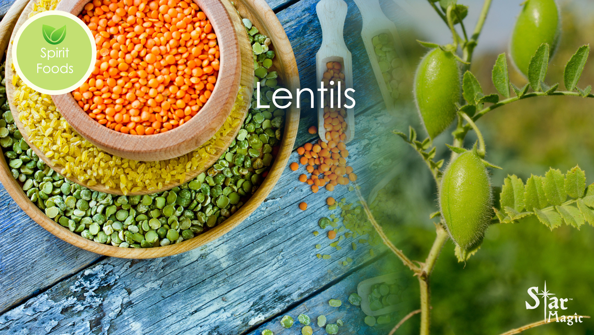 Spirit Food – Lentil - Star Magic Healing