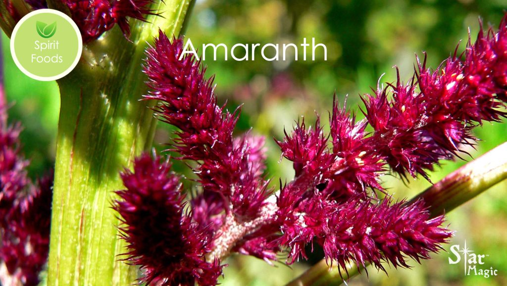 Spirit Food – Amaranth - Star Magic Healing