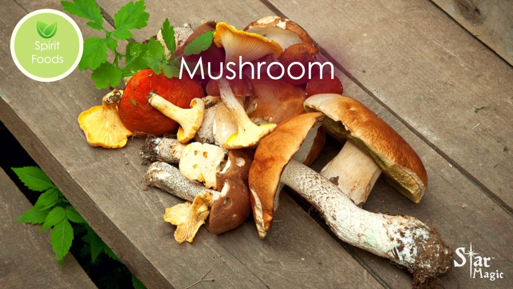 Spirit Food – Mushroom - Star Magic Healing