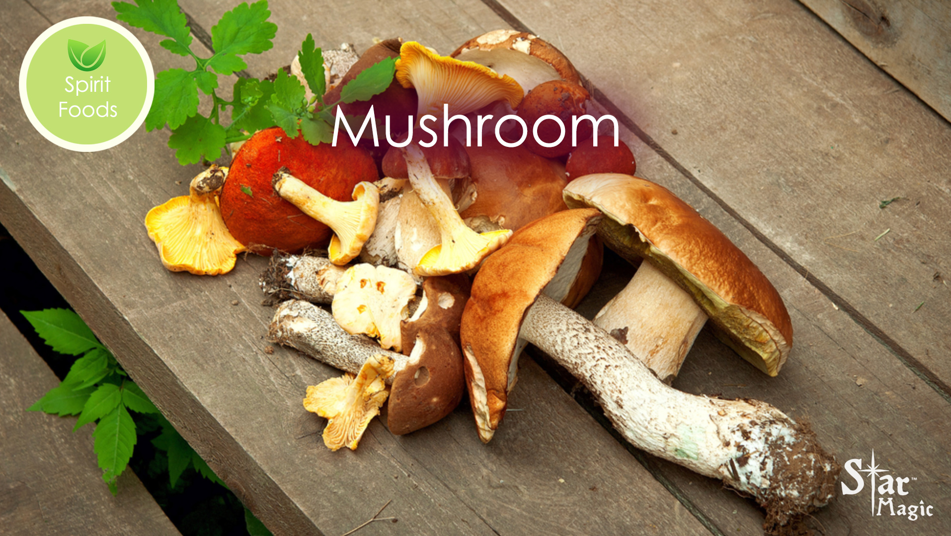 Spirit Food – Mushroom - Star Magic Healing
