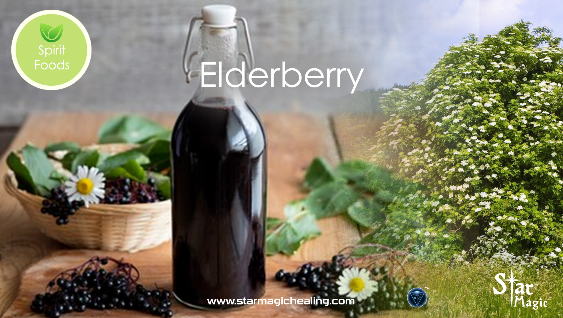 Spirit Food – Elderberry- Star Magic Healing