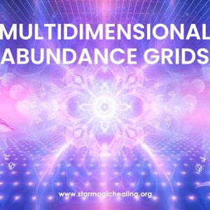 Multidimensional Abundance Grids Workshop