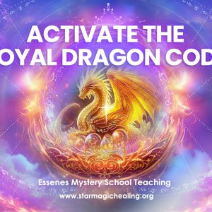 Activate The Royal Dragon Code