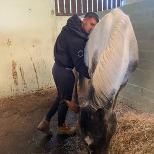 Weekly Maintenance  - Healing For Horses