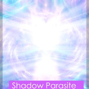 Shadow Parasite Cleansing Nicole Bell